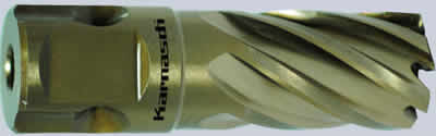 KARNASCH Silver/Gold Line